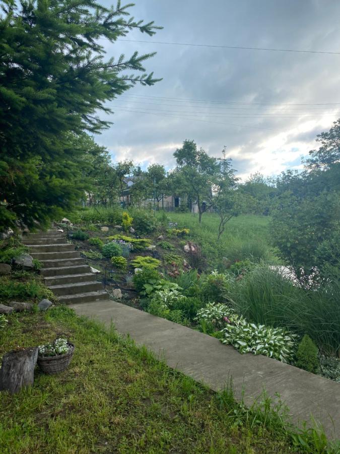 Holiday Home Usadba Novoselitsa Novoselitsa  Exterior foto