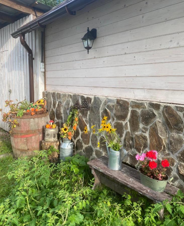 Holiday Home Usadba Novoselitsa Novoselitsa  Exterior foto